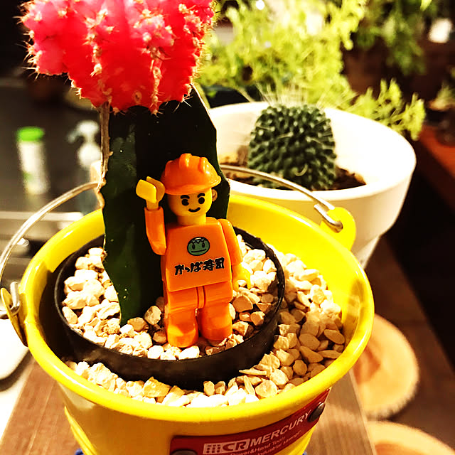 Fukuさんの実例写真