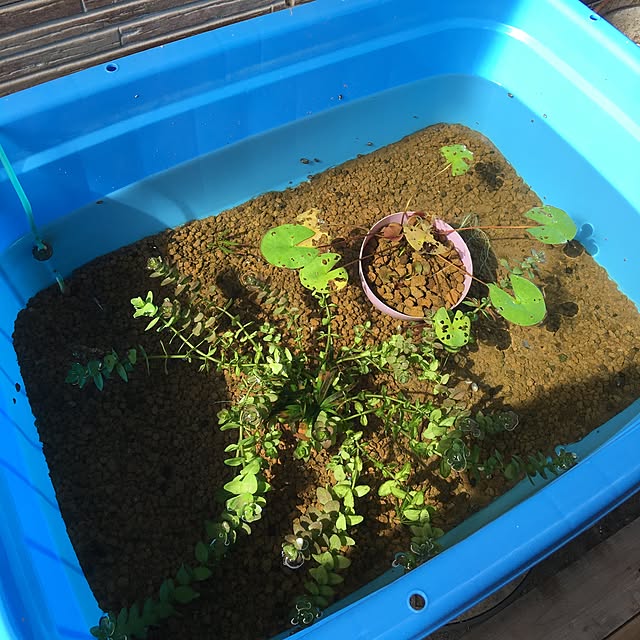 hanapinさんの実例写真