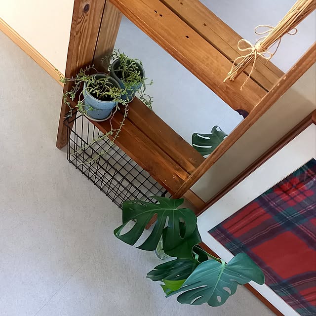 Y.さんの実例写真