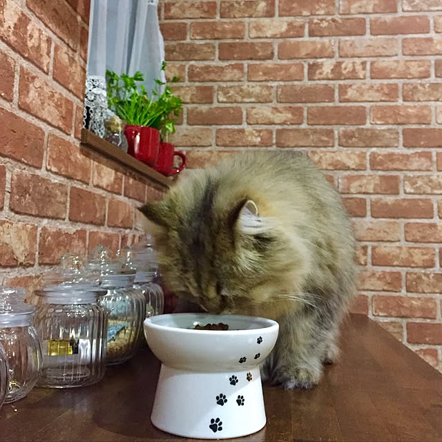 butachanさんの実例写真