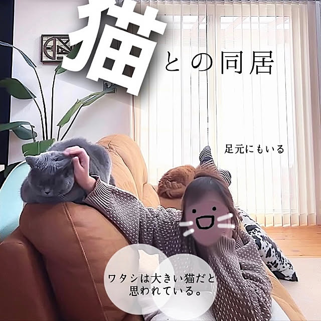 chibinoriさんの実例写真