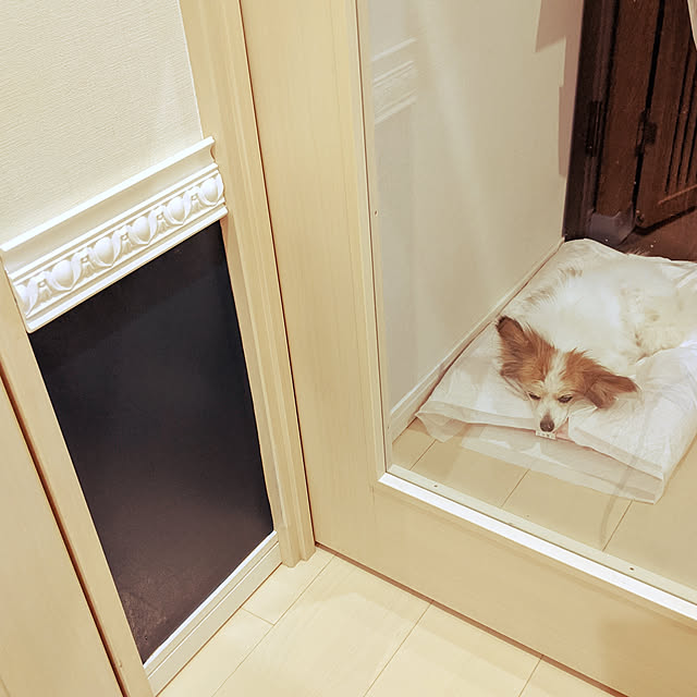 suzuさんの実例写真