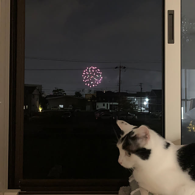 Yukikoさんの実例写真