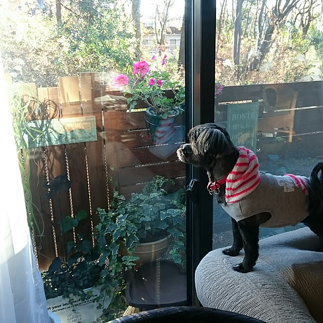 asaさんの実例写真