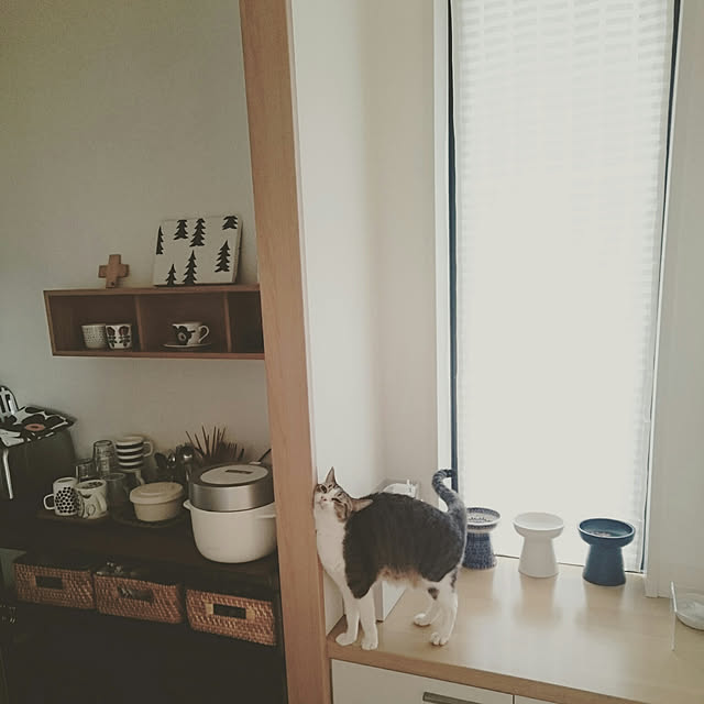 sumosarozaさんの実例写真