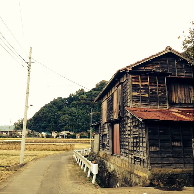 masakiさんの実例写真