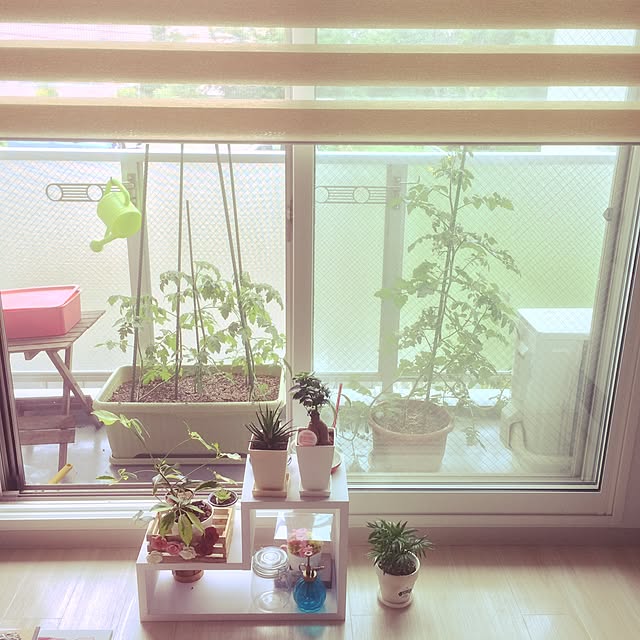 Tryさんの実例写真