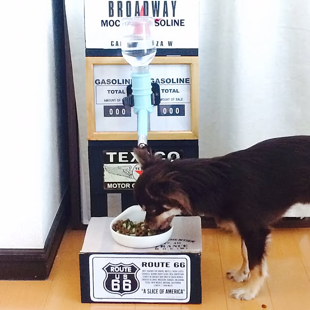 takaさんの実例写真