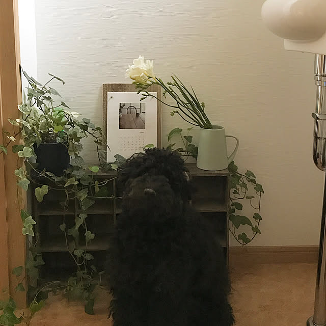 mignonさんの実例写真