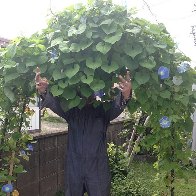 ganamiさんの実例写真
