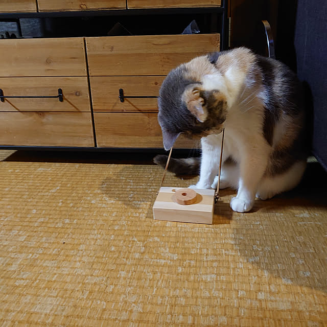 fukuさんの実例写真