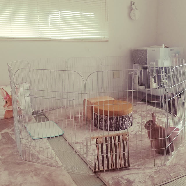 うさぎのカンタンおそうじケージ H50 B（ブラウン） うさぎ