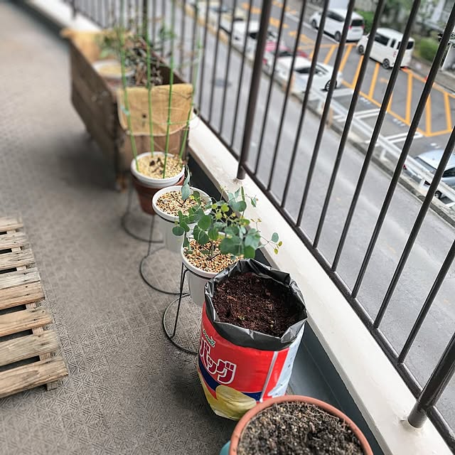 mi-saさんの部屋