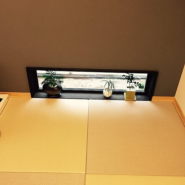 Masatoさんの実例写真