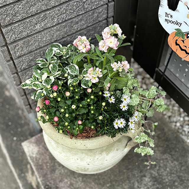 maayaさんの部屋