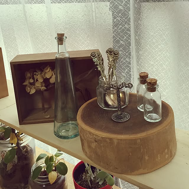 Norikoさんの部屋