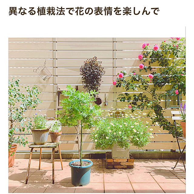 mogさんの実例写真