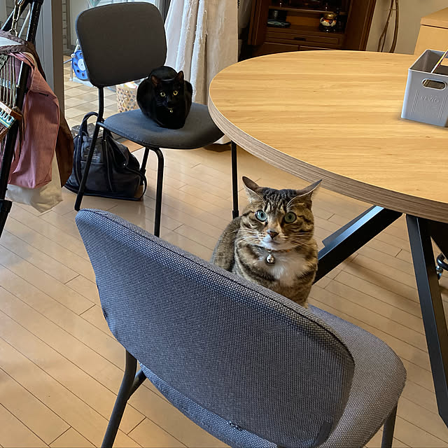 suemonta14さんの実例写真