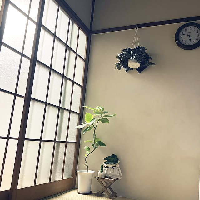 mizunokiさんの実例写真