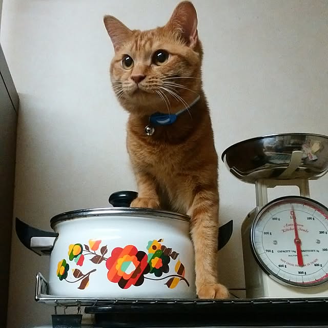yum0408さんの実例写真