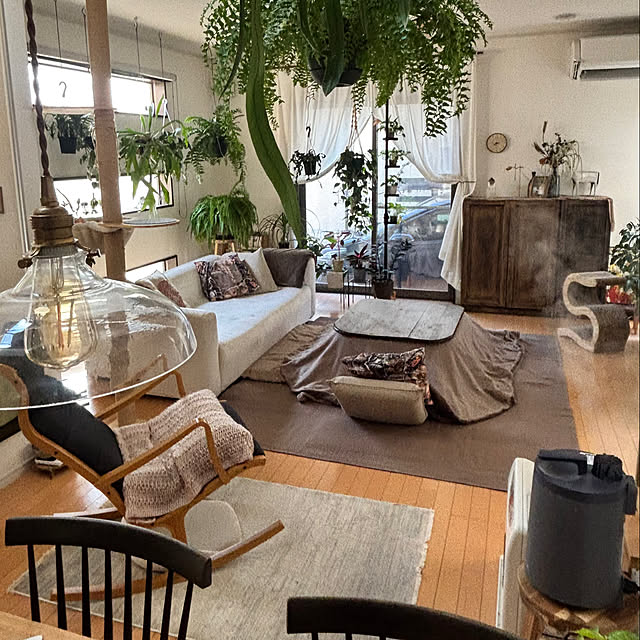 greycatsさんの実例写真