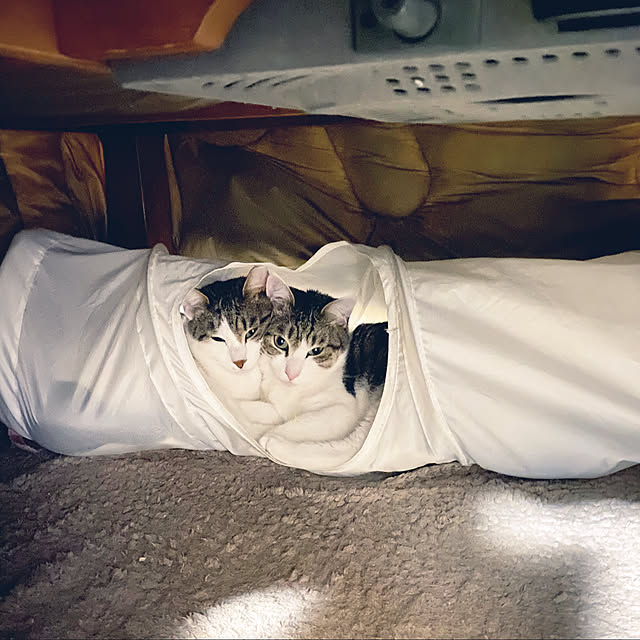 Lufuさんの実例写真