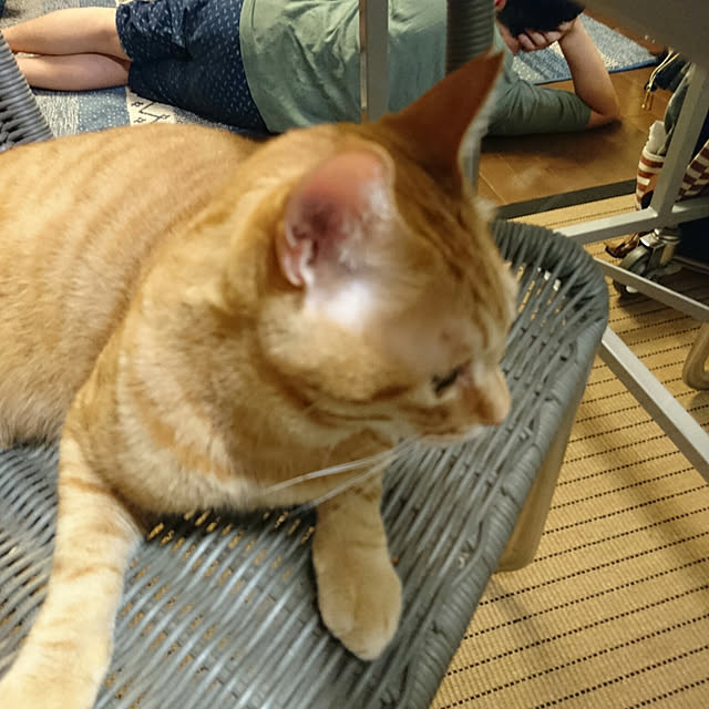 okyosan101さんの実例写真