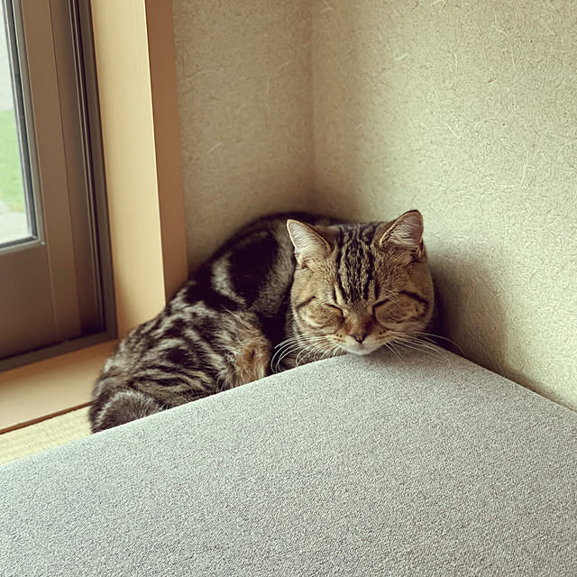 chiiさんの実例写真