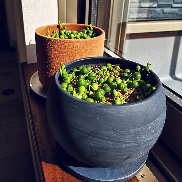 yumさんの実例写真