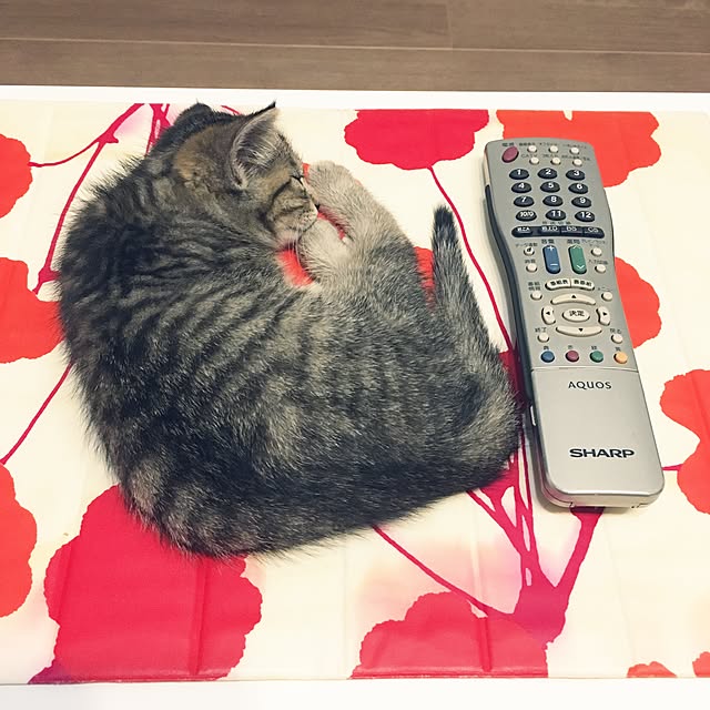 mikomaruさんの実例写真
