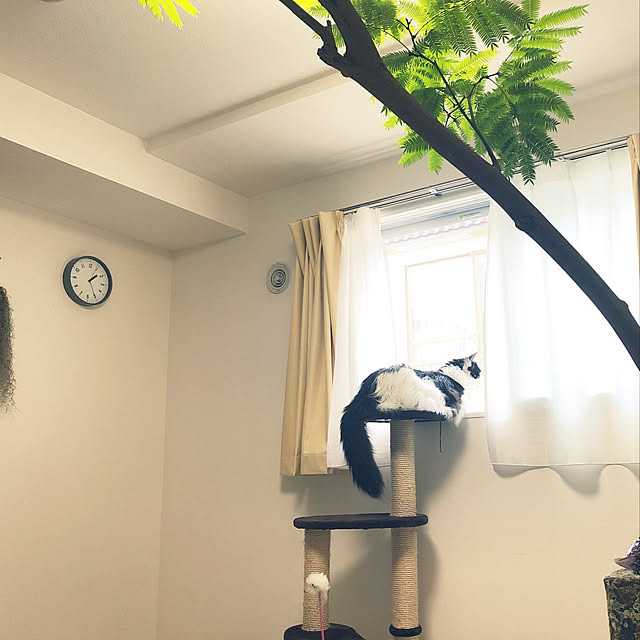 mochiyoさんの実例写真