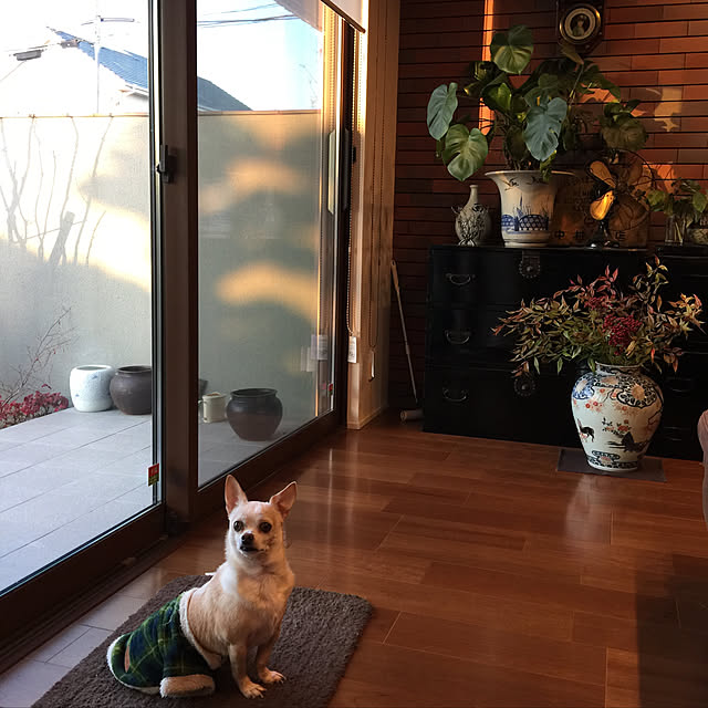 Mayumiさんの実例写真