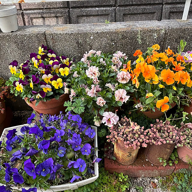 yokoさんの実例写真