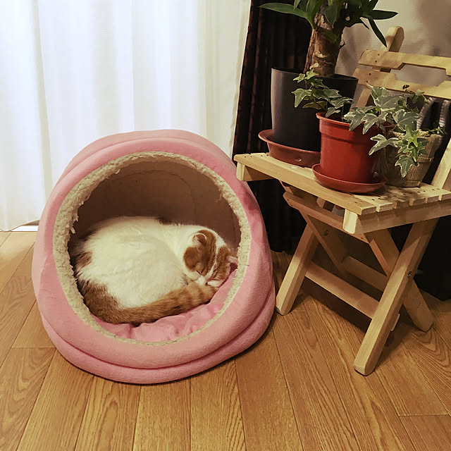 koharuさんの実例写真