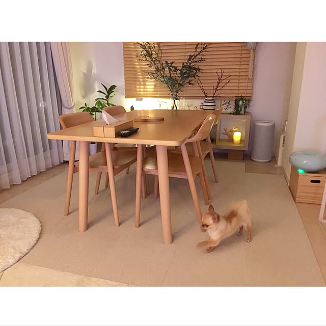 haruhinaさんの実例写真