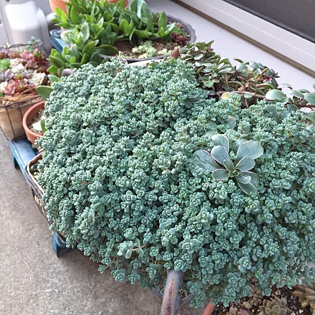 Junran50さんの実例写真