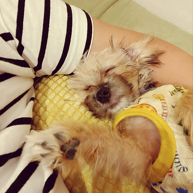 key-famさんの実例写真