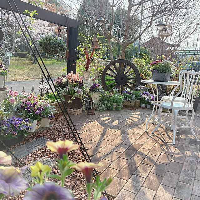 soraさんの実例写真