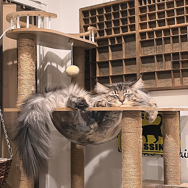 mayumiさんの部屋