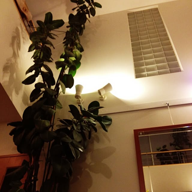 R-TYPEさんの実例写真
