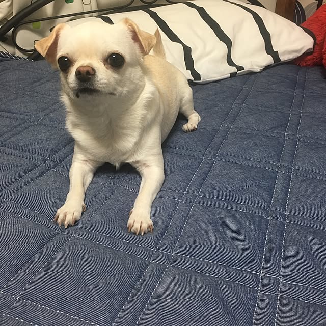 ani55さんの実例写真
