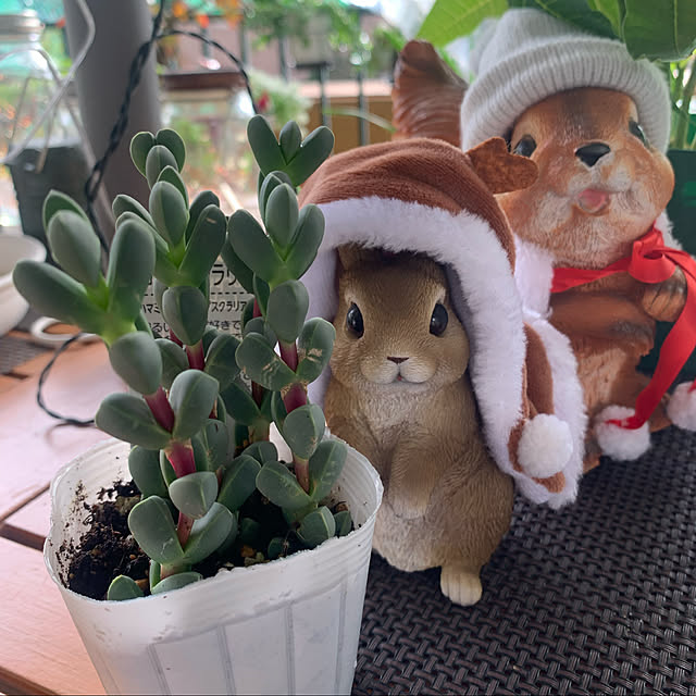 Aqettyさんの実例写真