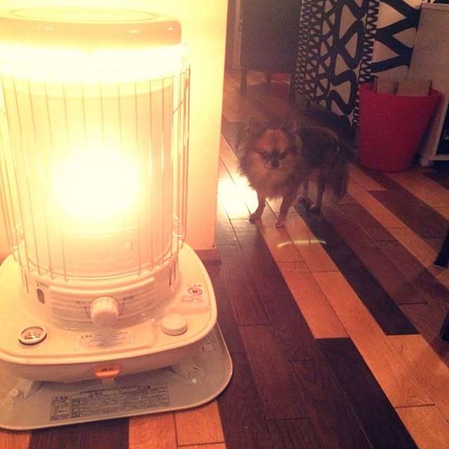 jessicaさんの実例写真