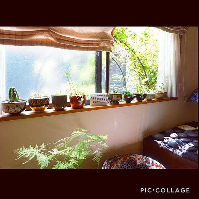 aromameさんの実例写真