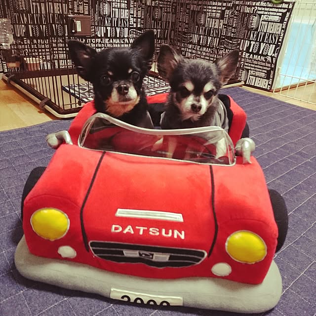 lovepeaceさんの実例写真