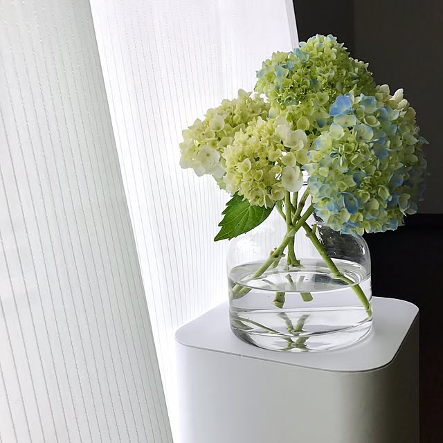 5mayさんの実例写真