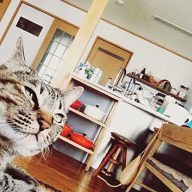 naonoanさんの実例写真