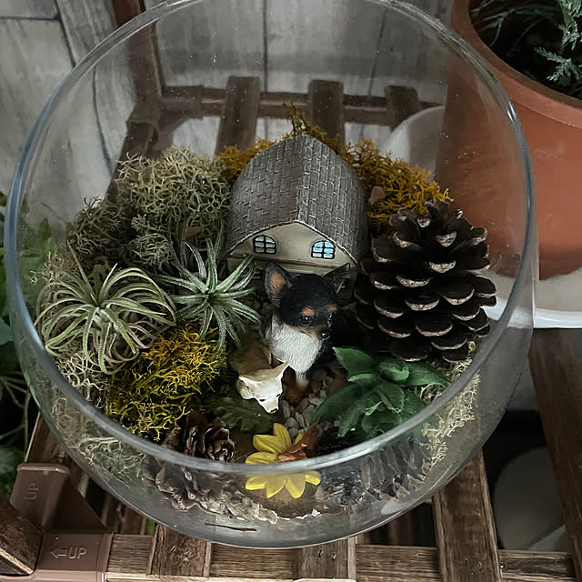 izumiさんの部屋