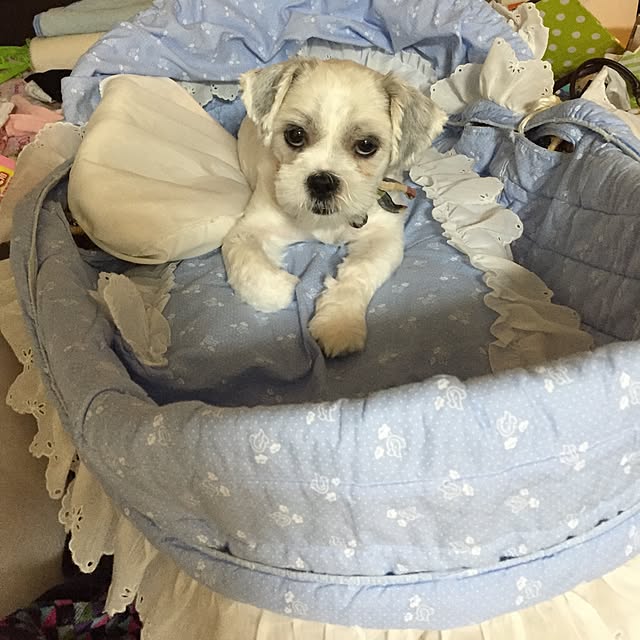 emiさんの実例写真