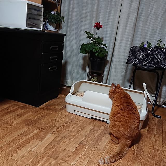 NOAHさんの部屋